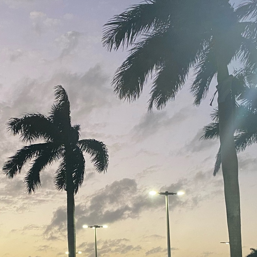 Meet your Posher, Jadore